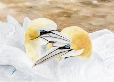 Postkarte DIN-A5 Aquarell Maritim Kunst Druck Kunstdruck Nordsee Insel Helgoland Basstölpel Vögel Lange Anna Felsen